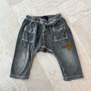 The animals observatory Terry sweats 18 mo